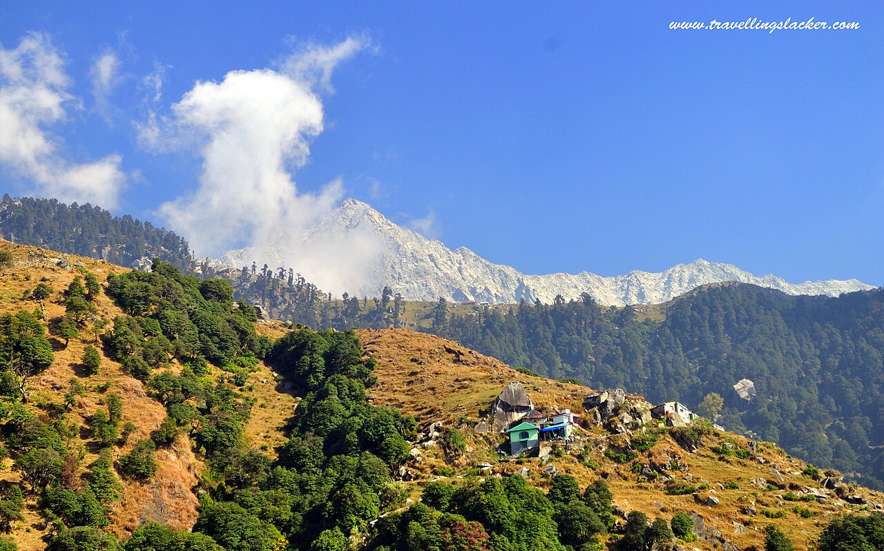 Triund Trek
